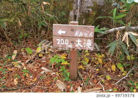 奥志賀高原の滝（雑魚川の大滝　長野県） 99739378