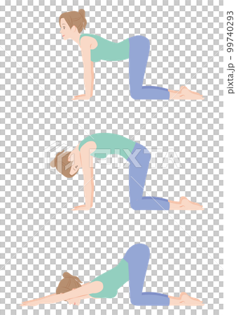 Cat Pose/Cat Stretch Pose 99740293