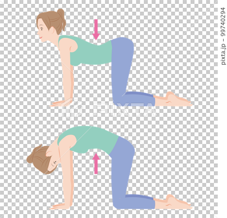 猫のポーズ、キャットアンドカウ 99740294