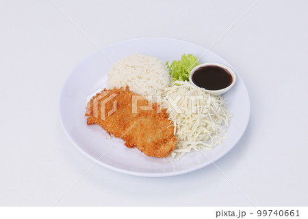 deep-fried pork with rice or pork katsu with rice and teriyaki sauce in a dish on white background. deep-fried pork with rice or pork katsu with rice and teriyaki sauce in a dish on white background. 99740661