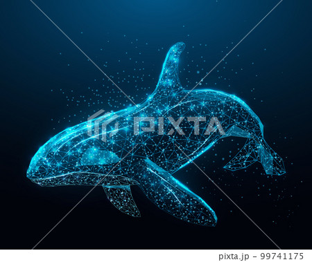 Killer whale. Wireframe glowing low poly Orca whale. Design on dark blue background. Abstract futuristic vector illustration 99741175