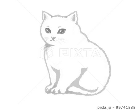 ふわふわで上品な白猫のイラスト素材（モノクロ） 99741838