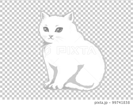 ふわふわで上品な白猫のイラスト素材（モノクロ） 99741838