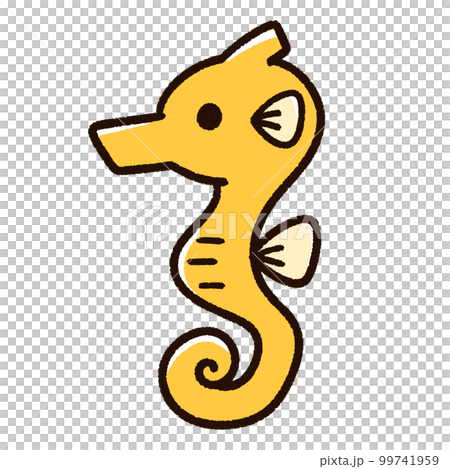 可愛的海馬 99741959