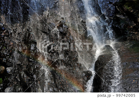 虹がかかる猿尾の滝 99742005