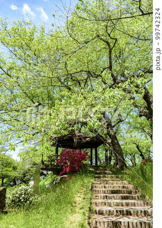 新緑の山形県南陽市烏帽子山公園より 新緑の山形県南陽市烏帽子山公園より 99742324