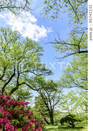 新緑の山形県南陽市烏帽子山公園より 99742332