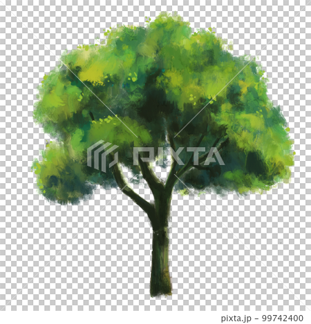 Untitled ArtworkTree with isolated background.Garden plant element illustration.Natural object paintiong 99742400