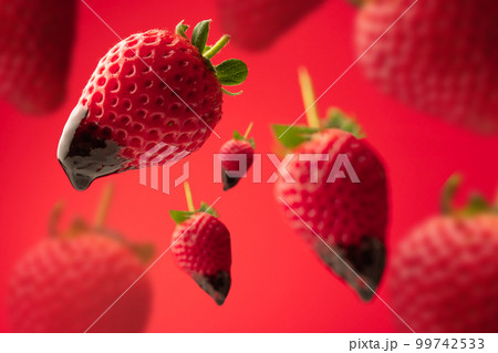 タイトル いちご タイトル いちご 99742533