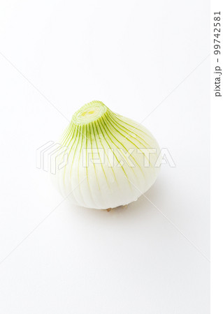 新玉ねぎ　白バック 99742581