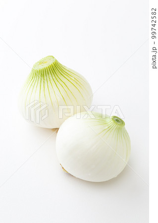 新玉ねぎ　白バック 99742582
