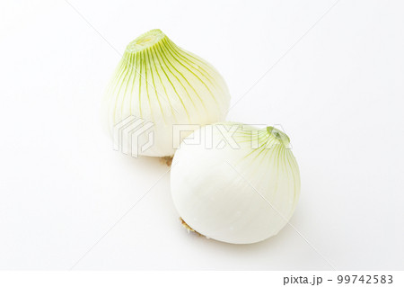新玉ねぎ　白バック 99742583