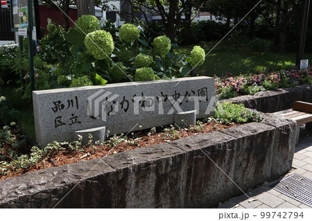 しながわ中央公園 しながわ中央公園 99742794