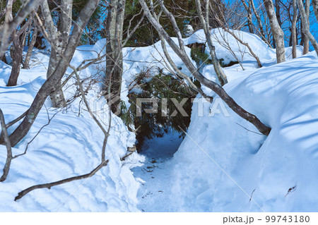 滋賀県　武奈ヶ岳の登山道 99743180