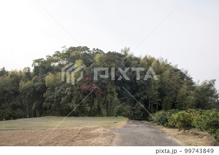 三城 三の丸全景 三城 三の丸全景 99743849
