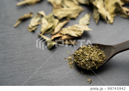 カレーリーフ カレーリーフ 99743942