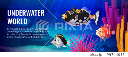 Underwater World Poster 99744055