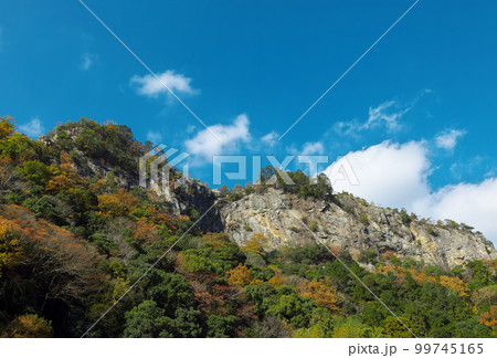 岐阜県川辺町　遠見山 99745165