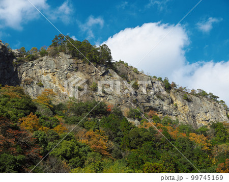 岐阜県川辺町 遠見山 岐阜県川辺町 遠見山 99745169