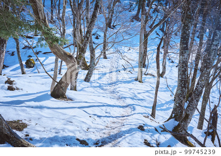 冬の登山道 冬の登山道 99745239