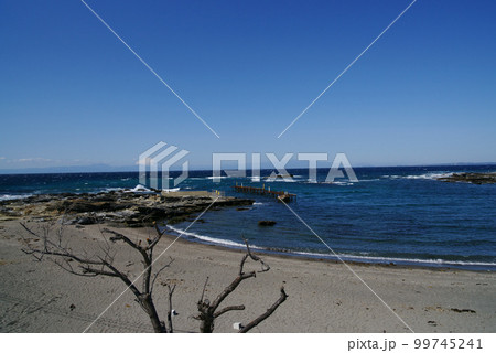 三浦市 富士山のビュースポットと南国的な荒井浜海岸　 99745241