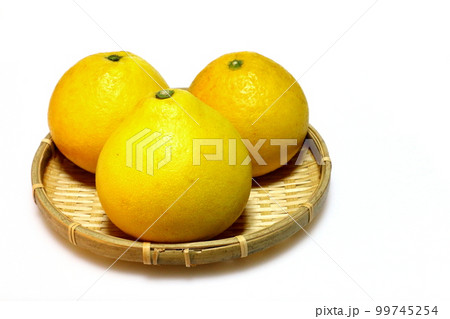 美味しい文旦 99745254