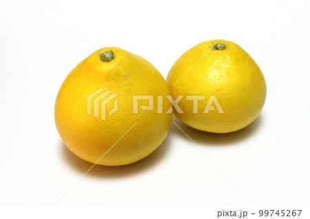 美味しい文旦 99745267