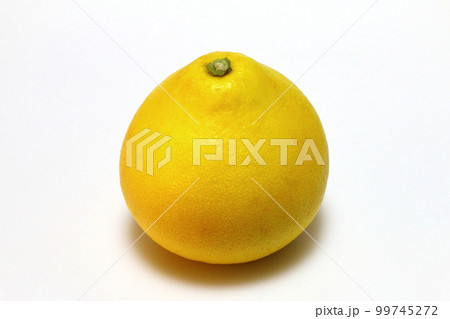 美味しい文旦 99745272