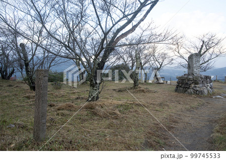 岩屋城本丸跡 岩屋城本丸跡 99745533