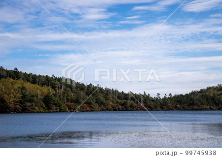 白駒池の紅葉 99745938