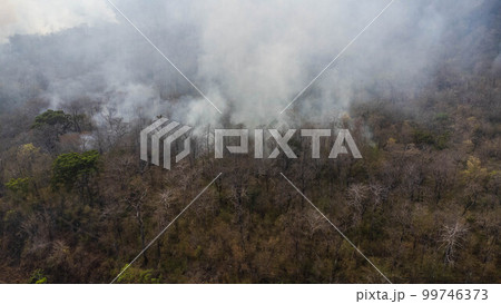 Aerial drone view of a wildfire burning through a forest area, fills the sky with dark smoke in the woods near the edge of the highway. Burning Forest. Air pollution concept 99746373
