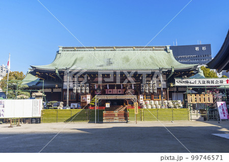 大阪天満宮　御本殿　梅の咲く季節（大阪市北区天神橋） 99746571