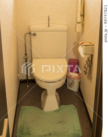 実家を思わせる一般住居のトイレ 実家を思わせる一般住居のトイレ 99747821
