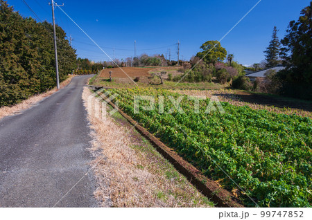 大井町の農村風景 快晴の青空 大井町の農村風景 快晴の青空 99747852
