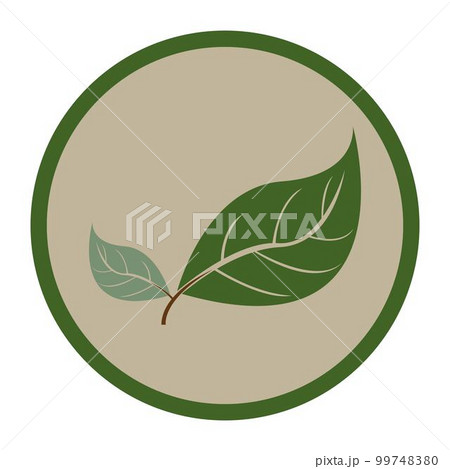 leaf logo vector 99748380