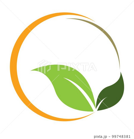 leaf logo vector 99748381