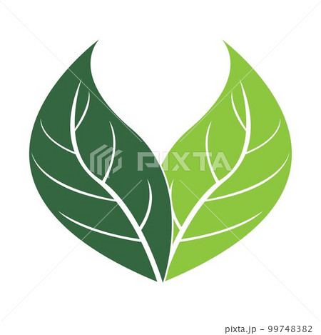 leaf logo vector 99748382