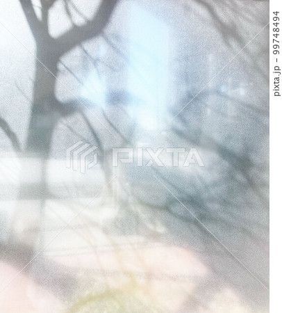 植物　影　光　日差し 99748494