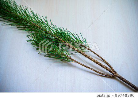正月飾り 松 正月飾り 松 99748590