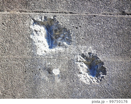 コンクリート擁壁の爆裂補修　2023年2月 99750176