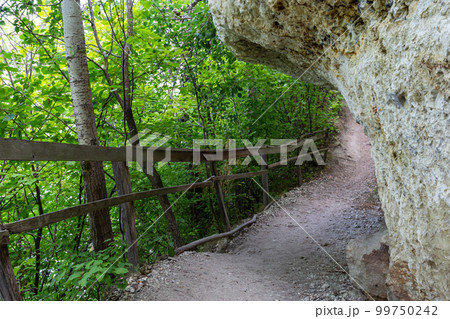 Long trail equipped with gravel steps and wooden handrail for tourists in sunny summer forest. Empty hiking path in Nature park reserve. Long trail equipped with gravel steps and wooden handrail for tourists in sunny summer forest. Empty hiking path in Nature park reserve. 99750242
