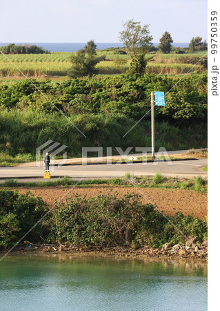 沖縄 宮古島市 交差点の交通安全人形 沖縄 宮古島市 交差点の交通安全人形 99750359