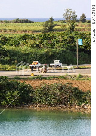 沖縄　宮古島市　交差点の交通安全人形 99750361