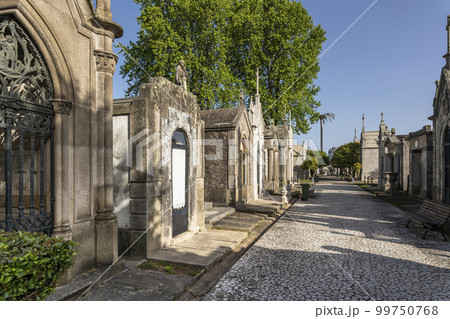 Walkway and trees in Agramonte Cemetery - Porto, Portugal 99750768