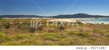 Complexo Dunar de Corrubedo e Lagoas de Carregal e Vixan Natural Park, Ribeira, Spain 99751987