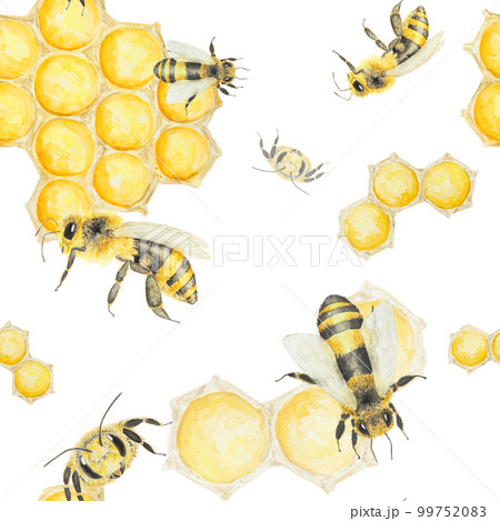 Watercolor hand drawn pattern of bees and honey isolated on white background Watercolor hand drawn pattern of bees and honey isolated on white background 99752083