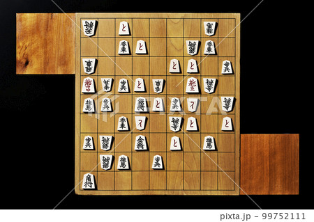 将棋_0079 99752111