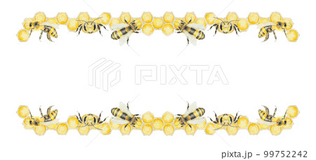 Watercolor hand drawn frame of bees and honey isolated on white background Watercolor hand drawn frame of bees and honey isolated on white background 99752242
