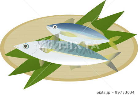 アジ サバ アジ サバ 99753034