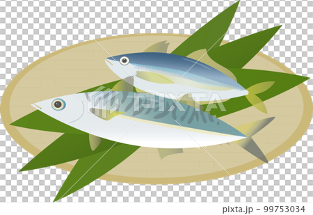 アジ サバ アジ サバ 99753034